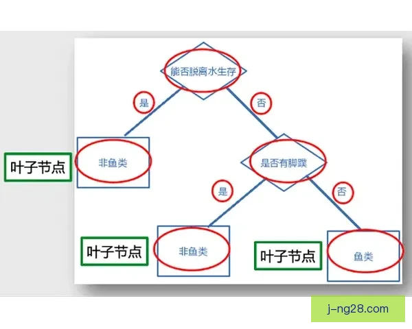 杯赛背景下强队轮换策略风险评估与实战应对研究综合分析与决策模型构建